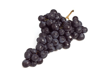RAISIN NOIR MUSCAT