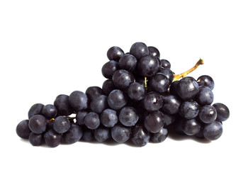 RAISIN NOIR MUSCAT