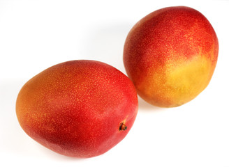 MANGUE