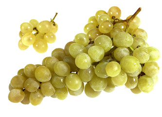 RAISIN BLANC