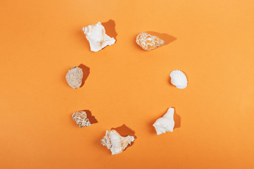 Seashell collection lying around circle shape.