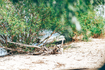 Summer sea and beautiful beach.