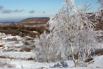 Beautiful winter landscape. Trees in white snowy on a sunny day on an alpine plateau