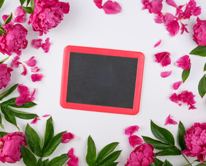 empty black frame for writing in chalk and blooming red peonies on a white background