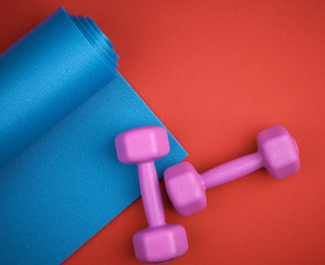 pair of purple plastic dumbbells and blue neoprene mat