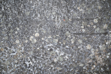 Ancient Greek Culture Backgrounds