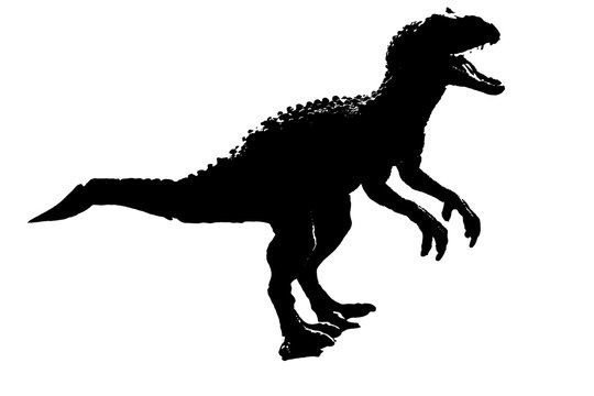 silhouette image black giganotosaurus dinosaur monster in cretaceous period on white background