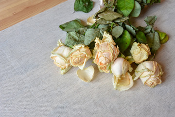  wilted roses background