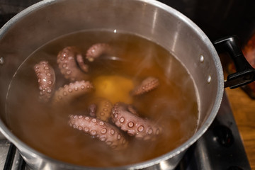 boiled octopus in a steel pot