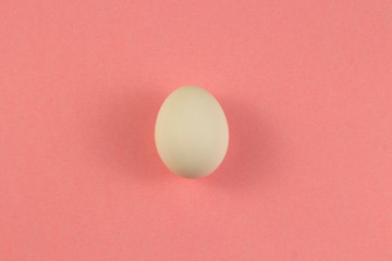 one white chicken egg on a pink background. place for text, easter holiday concept