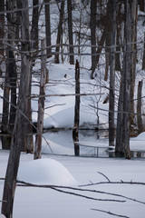 雪溶けの湖　美瑛町青い池