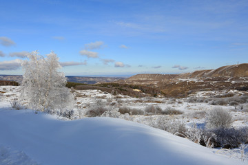 Beautiful winter landscape. Trees in white snow on a sunny day on a mountain plateau in the Stavropol Territory of Russia