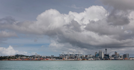 Auckland city New Zealand. Skyline