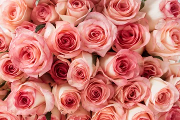 Gordijnen Close-up van roze rozen bloemen toppen patroon. © Floral Deco