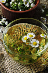 Chamomile tea in a glass mug.