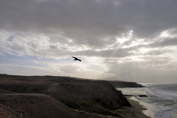 la pared