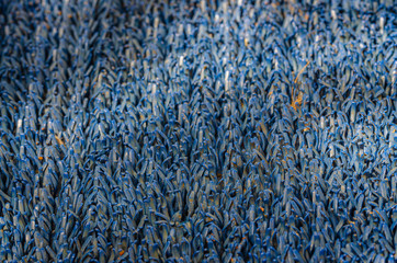 Closeup of the strands of a dirty, blue floor mat.