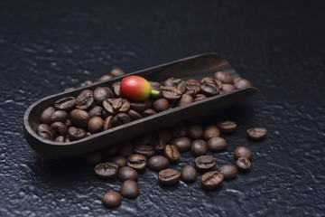 coffee beans