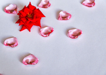 small blooming red rose with glass pink hearts and various marshmallows on a white background.