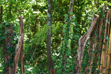 Old wooden fence in rural Georgia