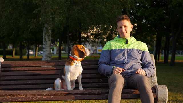 Portrait of man sitting on bench with dog, both look straight to camera for a moment. Then turn head and look to each other, doggy look around quickly. Sunny time at morning park, city street on back