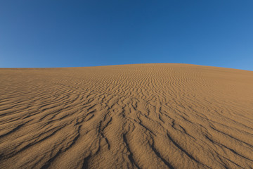 Naklejka premium wind patterns in sand desert Bafgh in Yazd, Iran