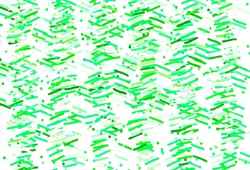 Light Green vector background with stright stripes.