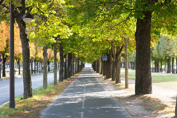 Bicycle road in Paris on day