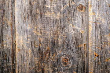 Background design. Wooden fence made of old boards with the inclusion of knots, resin and remnants of bark.