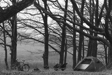 Camp in the forest. Camping tent and portable chairs and aluminum table. Cold autumn day. concept of vacation and outdoor activities. Nobody. space for text. bonfire and bicycle. Black and white