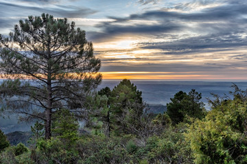 Amanecer tras los pinos un día de invierno. Patones. Madrid. España. Europa.