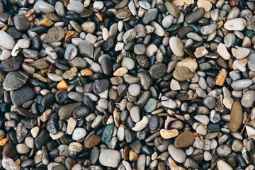 texture of sea round stones