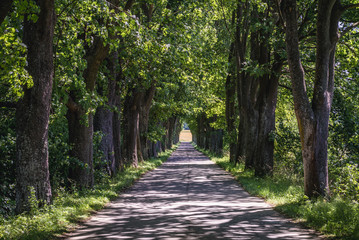 Narrow asphalt road near Gryfice city located in West Pomerania region of Poland