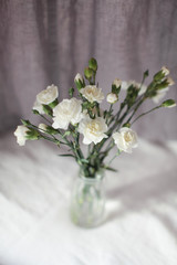  white clove/carnations bouquet in a vase