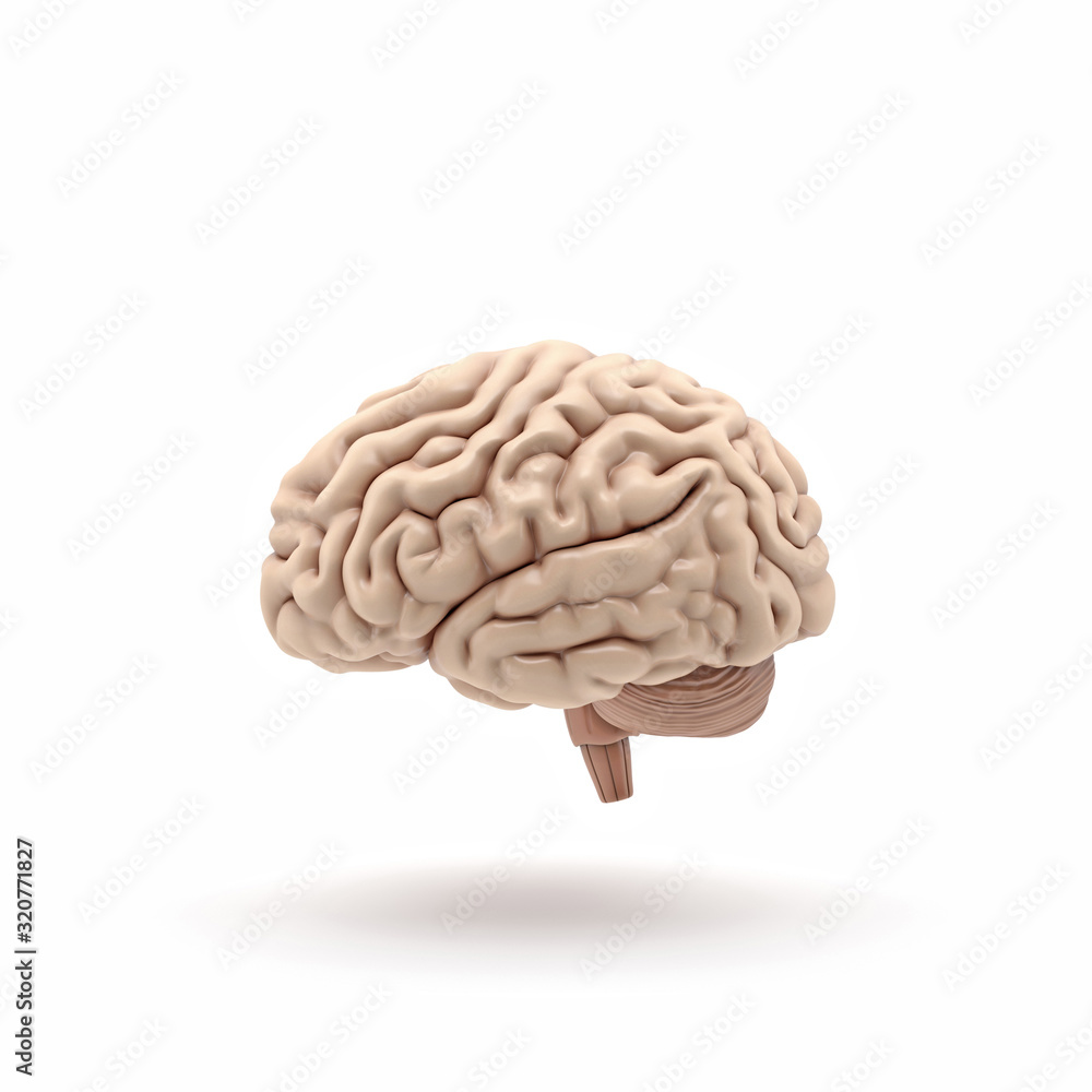 Poster 3d glossy brain rendering isolated on white background