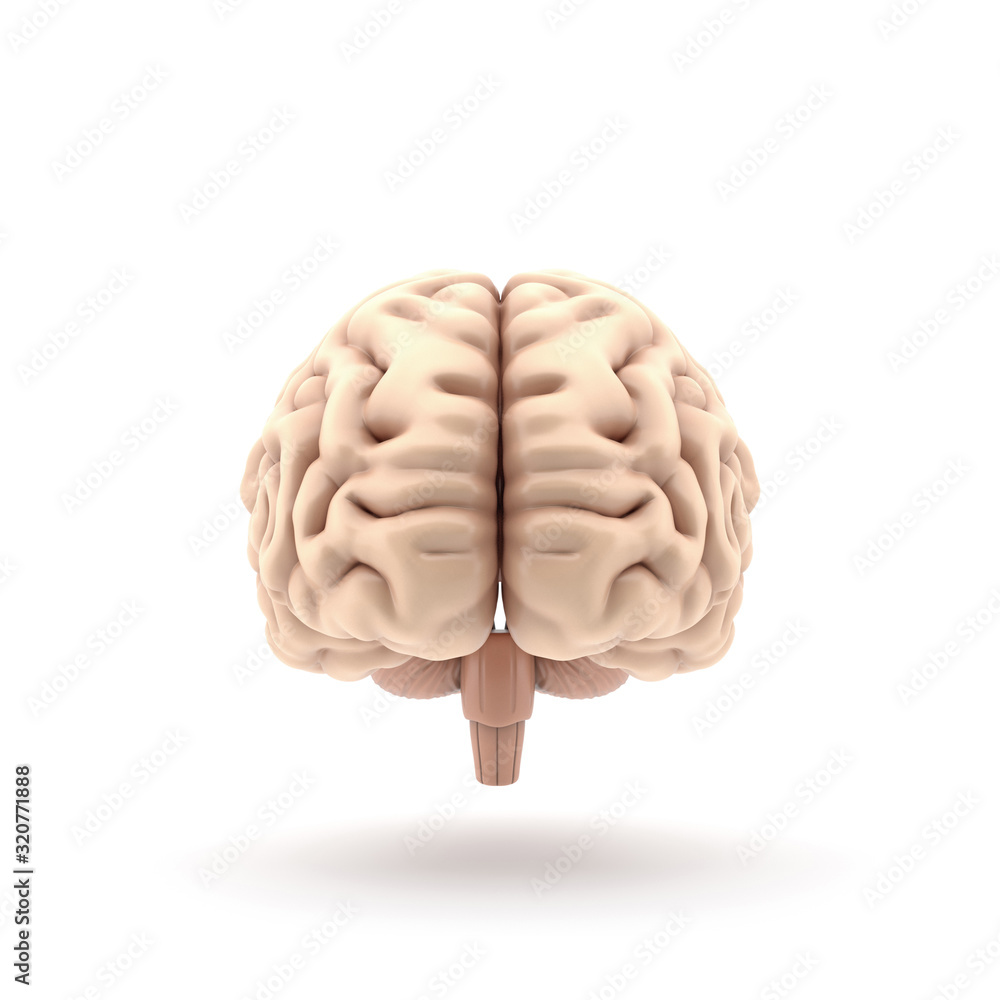 Poster 3d glossy brain rendering isolated on white background