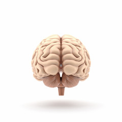 3D glossy brain rendering isolated on white background, back view