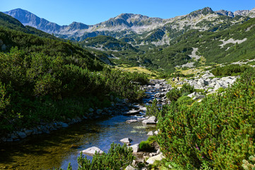 Fototapeta na wymiar Landscape with stream and mountain ridge at the Pirin National Park in Bulgaria