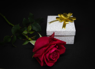 red rose and gift on black background