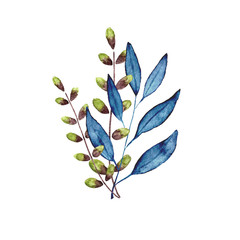 Beautiful bunch of plants with green, brown and blue leaves. Bouquet of branches. Wild field plants. Watercolor painting. Illustration. Hand drawing. Gouache. Garden flowers. 