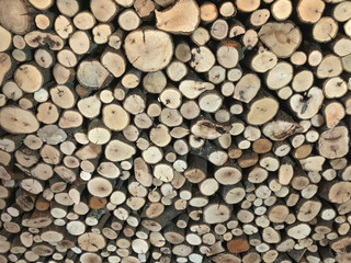 Deforestation