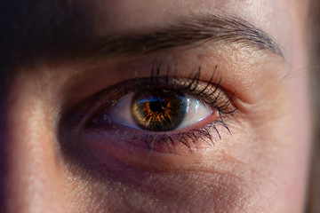 close up of female eye