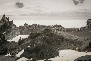 The majestic and harsh nature of Antarctica.
