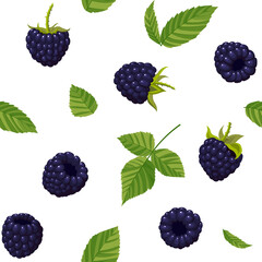 Seamless pattern blackberries on white background. Design for textiles, banners, posters. Vector illustration for posters, invitations, scrapbooking and textiles