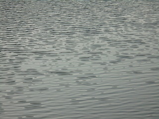 ripples on surface of water
