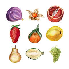 Set of watercolor fruits