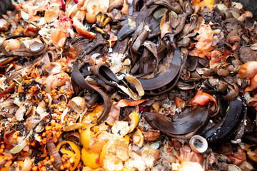 Onion husk banana peel in trash can