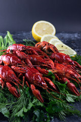 Large red crayfish on a black background with herbs and spices