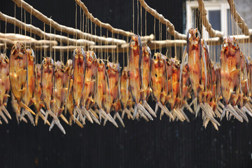 sun-dried fish Orchid Island