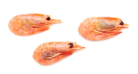 Red shrimp isolated on a white background